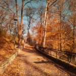 250452846_4639247536141566_1871321500903565747_n