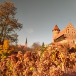 250501719_4639248249474828_3776992977343866081_n