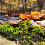 250641486_4639247026141617_7712898760905195128_n