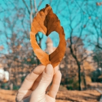 250643197_4639247782808208_5160197075091212548_n