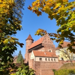 251026785_4639246806141639_3328390441867023717_n