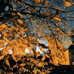 251073083_4693998747305079_3793950536110627015_n