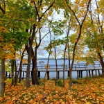 251294687_4497210820368879_6032804900902511972_n