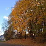 IMG_20211018_153944