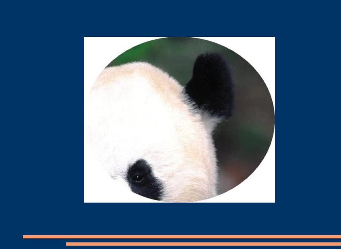 panda