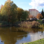 IMG_20211018_154230_1